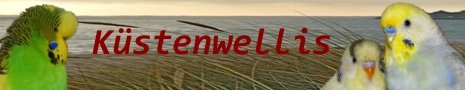 37 Die K�stenwellis